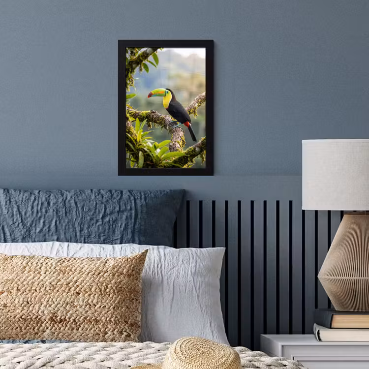 Toekan - Jungle - Natuur - Kleurrijk fotolijst zwart zonder passe partout klein -sfeer3