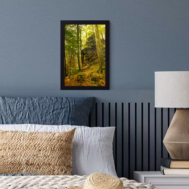 Bomen - Steen - Bos - Natuur - Planten fotolijst zwart zonder passe partout klein -sfeer3