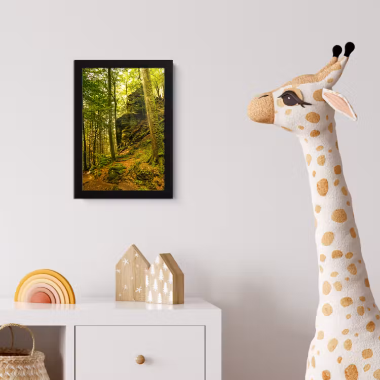 Bomen - Steen - Bos - Natuur - Planten fotolijst zwart zonder passe partout klein -usfeer4_kinderkamer