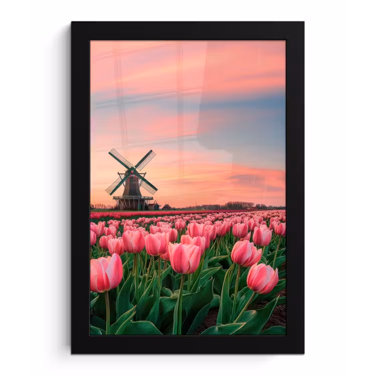 Tulpen - Molen - Nederland fotolijst zwart zonder passe partout klein -3d
