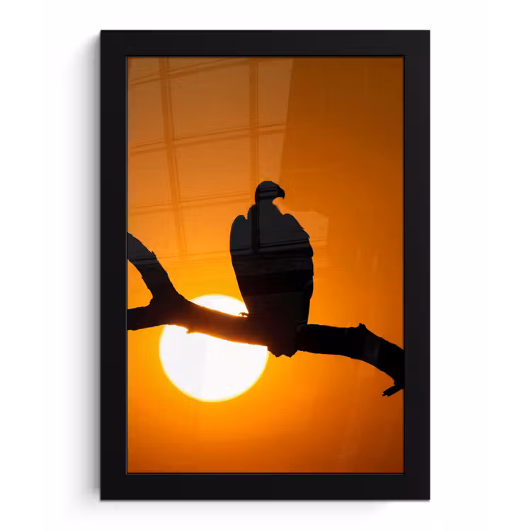 Gier - Tak - Zon - Oranje fotolijst zwart zonder passe partout klein -3d