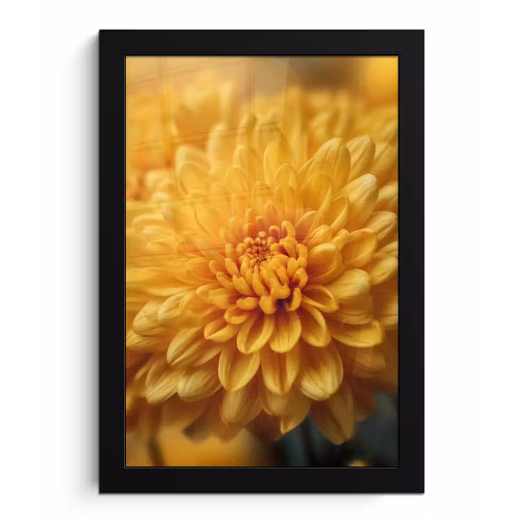 Geel - Chrysant - Zachtheid fotolijst zwart zonder passe partout klein -3d