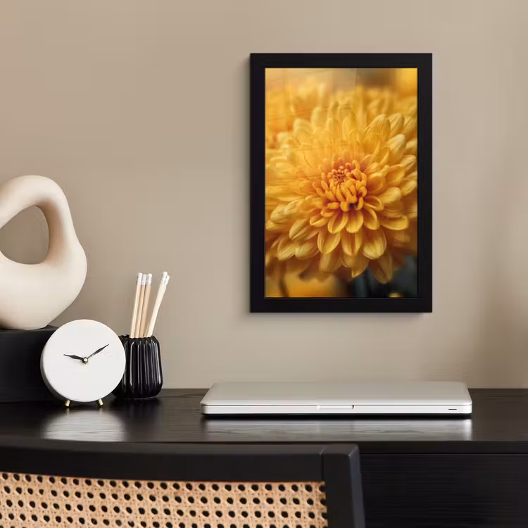 Geel - Chrysant - Zachtheid fotolijst zwart zonder passe partout klein -sfeer1