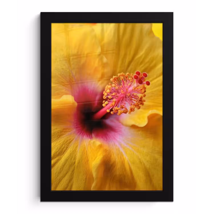 Geel - Hibiscus - Tropisch fotolijst zwart zonder passe partout klein -3d