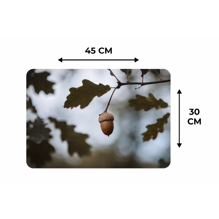 Eikel - Eikenblad - Bos - Herfst - Natuur Placemat vinyl groot -specs