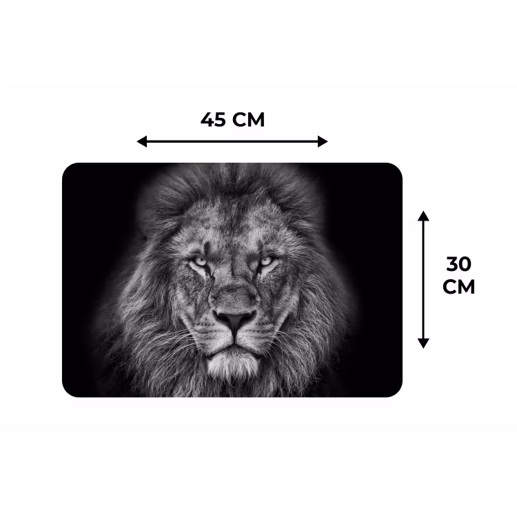 Dieren - Leeuw - Zwart - Wit - Portret Placemat vinyl groot -specs