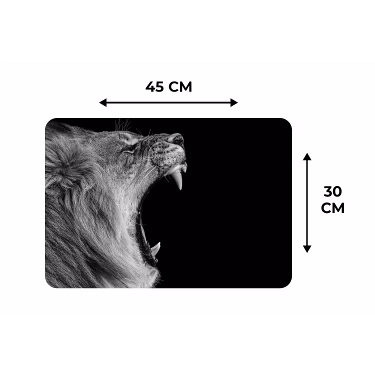 Dieren - Leeuw - Zwart - Wit - Portret Placemat vinyl groot -specs
