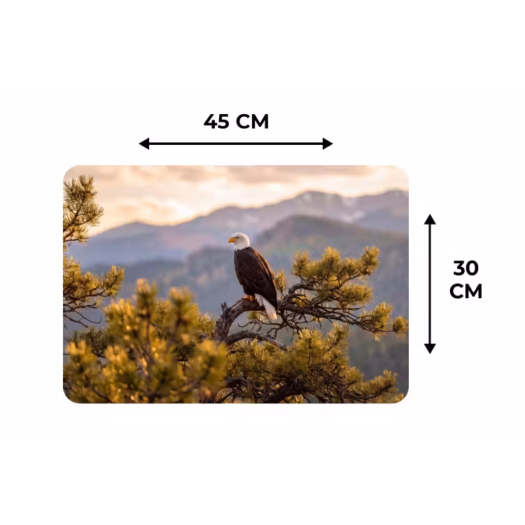 Zeearend - Boom - Bergen - Groen Placemat vinyl groot -specs