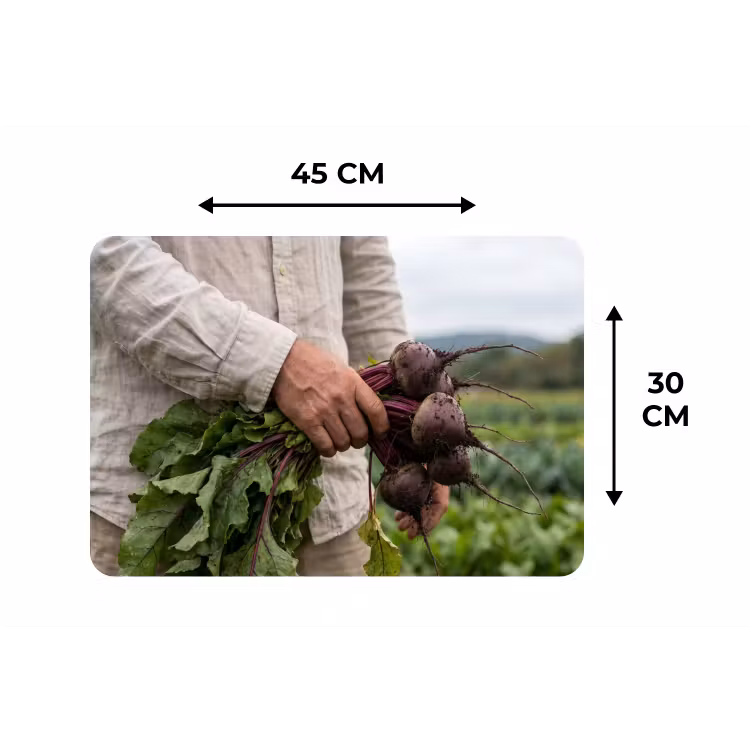 Bieten - Vers - Moestuin Placemat vinyl groot -specs