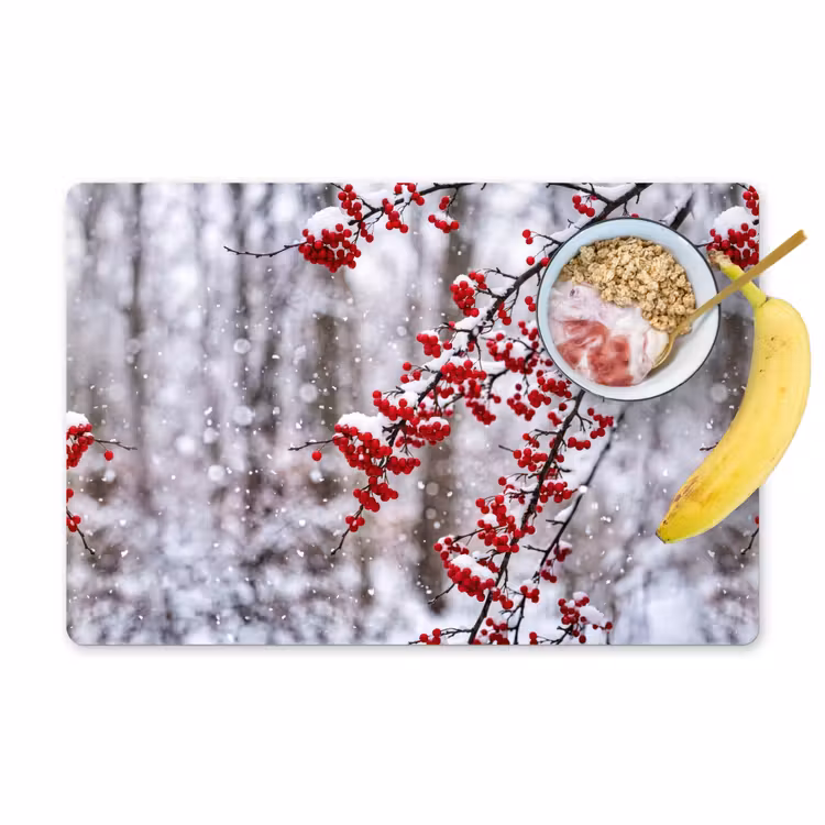 Bessen - Takken - Sneeuw - Winter - Kleurrijk Placemat vinyl groot -zzzproduct_Kitchenyeah-website