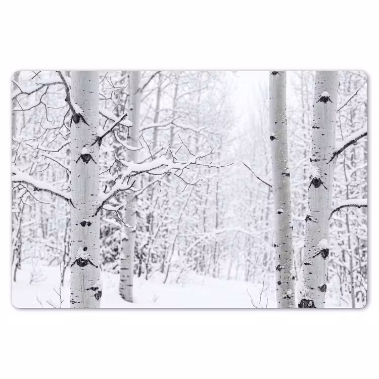 Berkenbomen - Sneeuw - Winter - Bos - Wit Placemat vinyl groot -zzsfeer1_Kitchenyeah-website