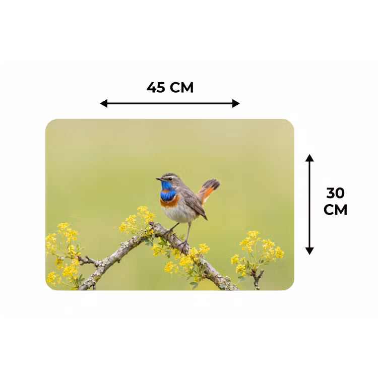 Vogel - Tak - Natuur - Kleurrijk Placemat vinyl groot -specs