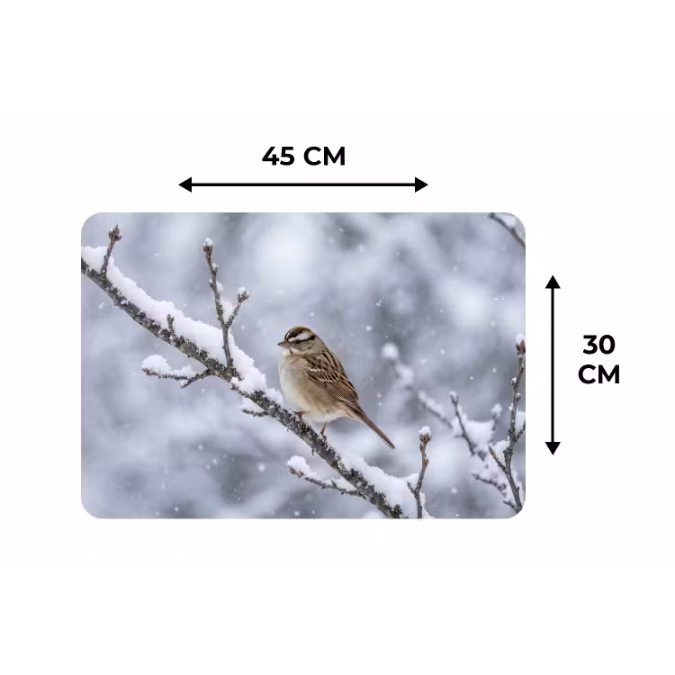 Vogel - Tak - Sneeuw - Winter Placemat vinyl groot -specs