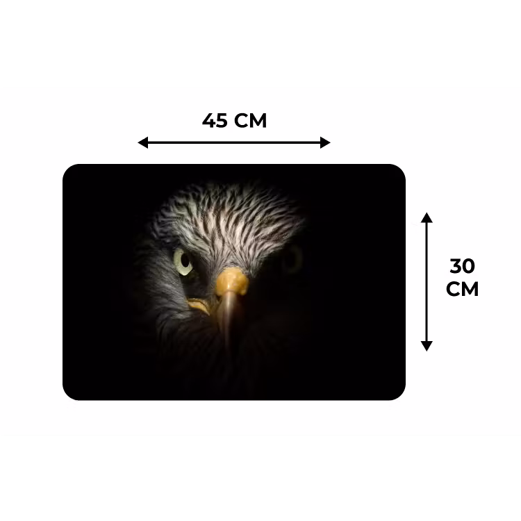 Vogel - Adelaar - Roofvogels - Oog - Snavel - Licht Placemat vinyl groot -specs