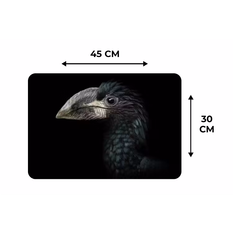 Vogel - Portret - Neushoornvogel - Zwart - Dieren Placemat vinyl groot -specs