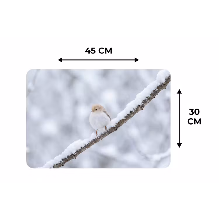 Vogeltje - Sneeuw - Tak - Winter - Zacht Placemat vinyl groot -specs