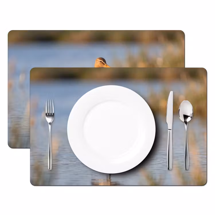 Vogel - Steltloper - Water - Natuur Placemat vinyl groot -zzsfeer2_Kitchenyeah-website