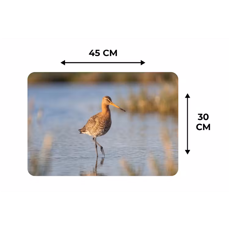 Vogel - Steltloper - Water - Natuur Placemat vinyl groot -specs