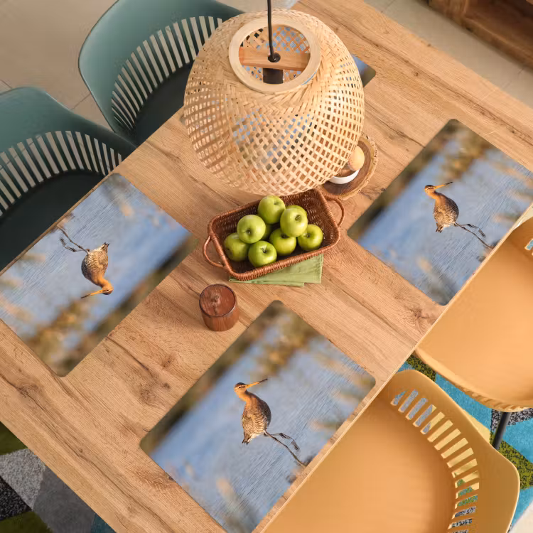 Vogel - Steltloper - Water - Natuur Placemat vinyl groot -zzsfeer5_Kitchenyeah-website