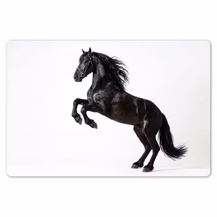 Zwart - Paard - Portret Placemat vinyl groot -zzsfeer1_Kitchenyeah-website