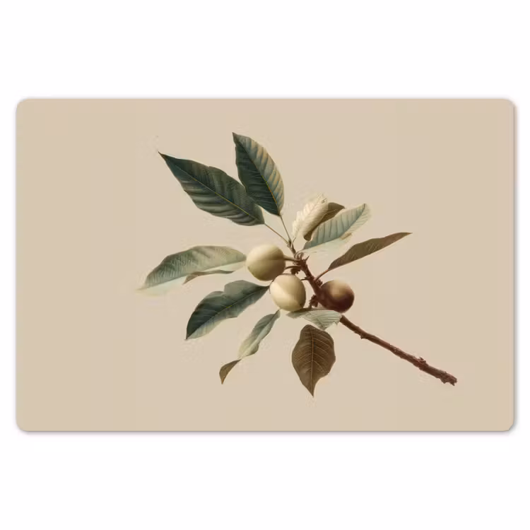 Tak - Groene Bladeren - Vruchten Placemat vinyl groot -zzsfeer1_Kitchenyeah-website