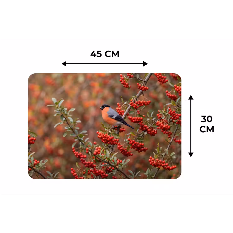 Goudvink - Bessen - Herfst - Natuur - Kleurrijk Placemat vinyl groot -specs