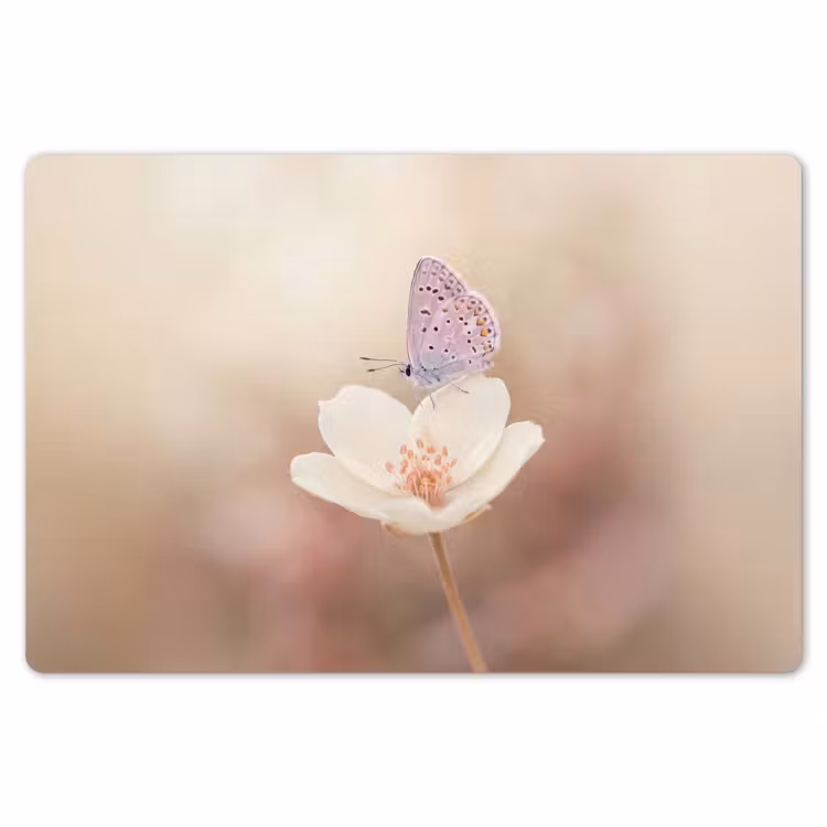 Vlinder - Bloem - Blauw Placemat vinyl groot -zzsfeer1_Kitchenyeah-website