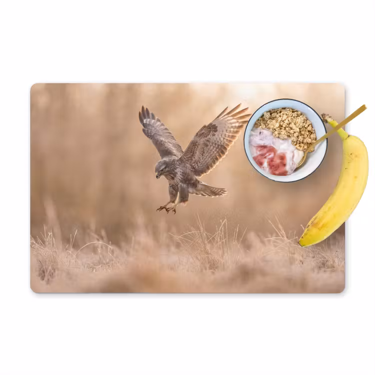 Buizerd - Roofvogel - Natuur - Bruin Placemat vinyl groot -zzzproduct_Kitchenyeah-website