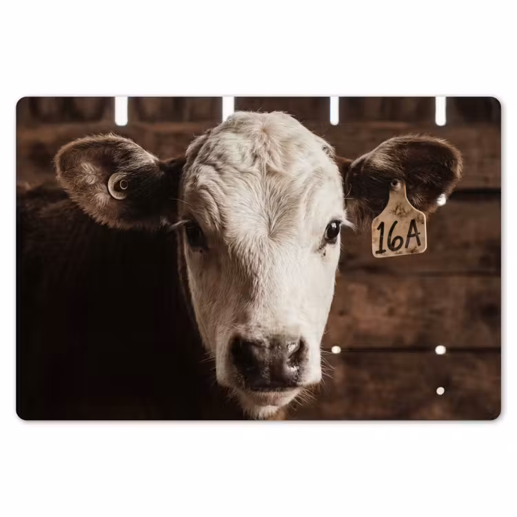Kalf - Oormerk - Houten stal Placemat vinyl groot -zzsfeer1_Kitchenyeah-website