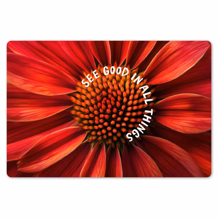 Close up - Bloem - Quote - Rood Placemat vinyl groot -zzsfeer1_Kitchenyeah-website