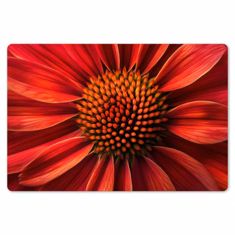 Close up - Bloem- Rood Placemat vinyl groot -zzsfeer1_Kitchenyeah-website