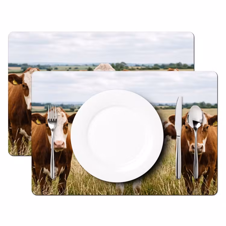 Koeien - Portret - Weide - Boerderij - Nieuwsgierig Placemat vinyl groot -zzsfeer2_Kitchenyeah-website