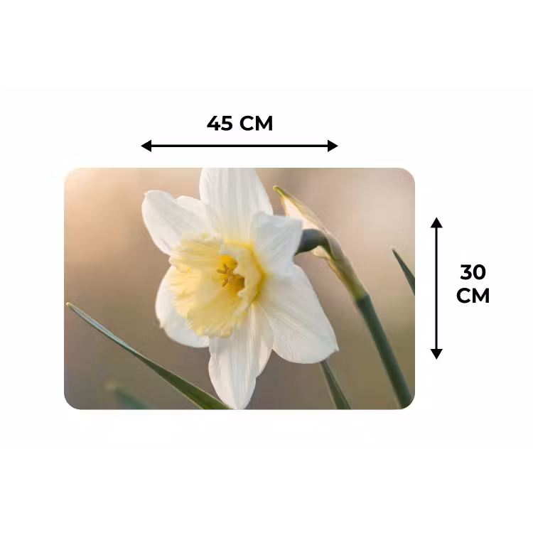Narcis - Bloem - Minimalistisch Placemat vinyl groot -specs