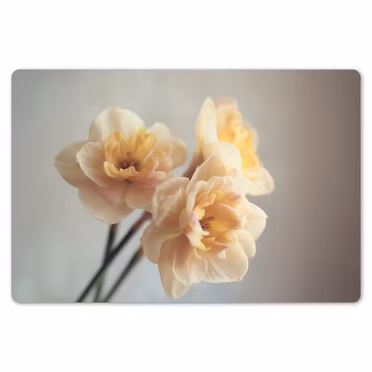 Narcissen - Geel - Bloemblaadjes Placemat vinyl groot -zzsfeer1_Kitchenyeah-website