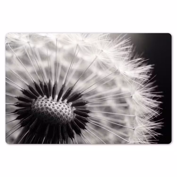 Paardenbloem - Zwart - Wit Placemat vinyl groot -zzsfeer1_Kitchenyeah-website