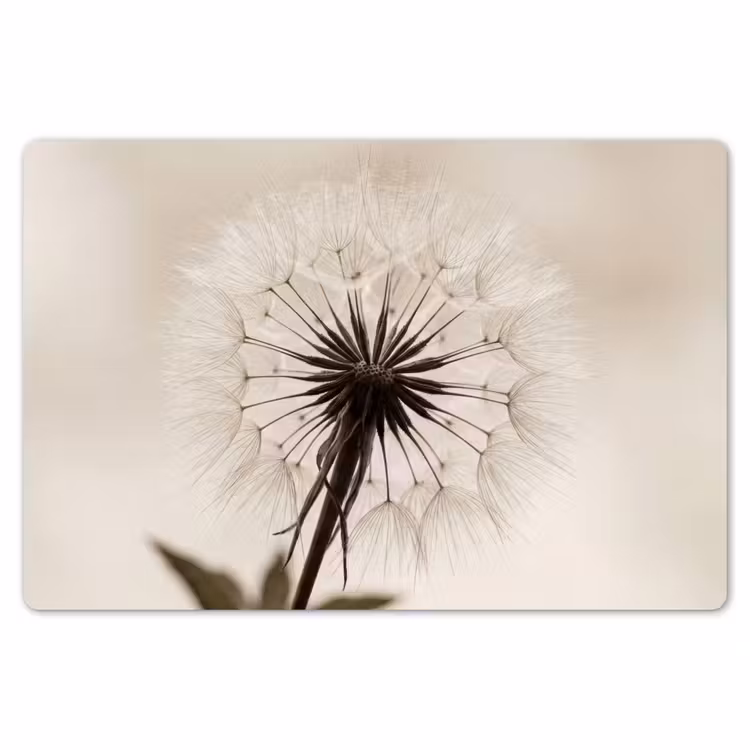 Paardenbloem - Minimalistisch - Wit Placemat vinyl groot -zzsfeer1_Kitchenyeah-website