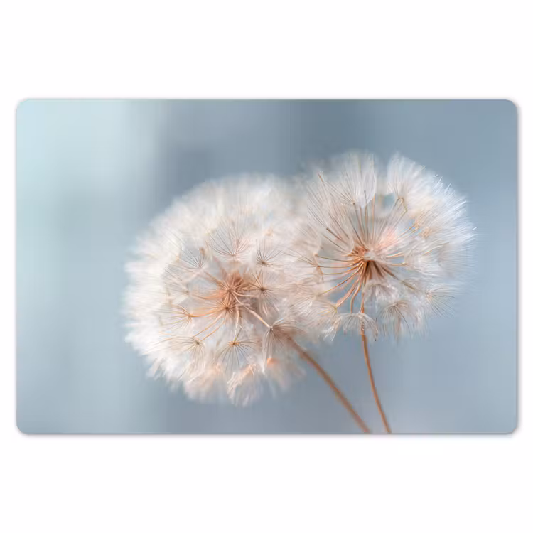 Paardenbloemen - Pluisjes - Wit Placemat vinyl groot -zzsfeer1_Kitchenyeah-website