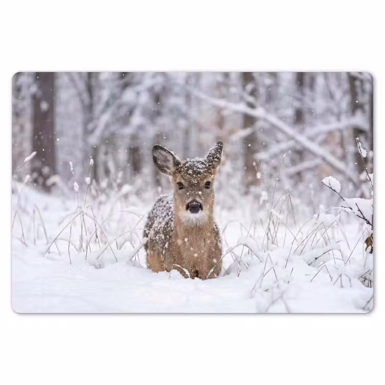 Hert - Sneeuw - Bos - Dieren - Vertederend Placemat vinyl groot -zzsfeer1_Kitchenyeah-website