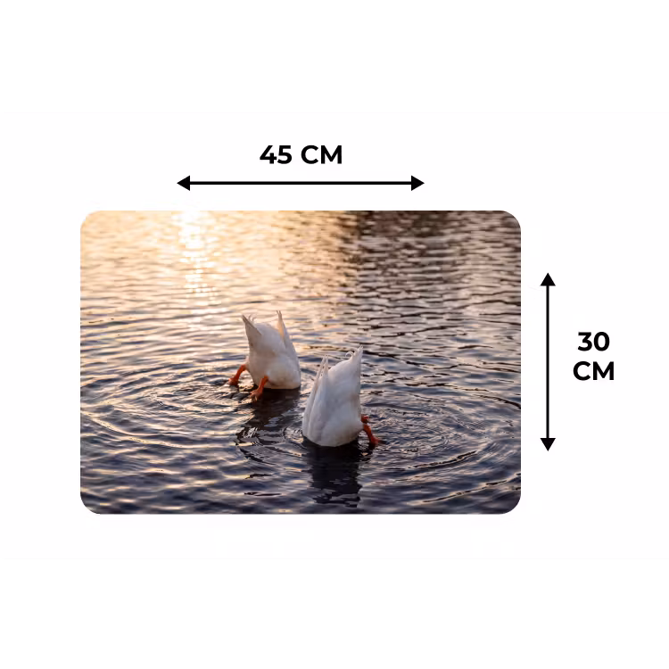 Eenden - Water - Natuur Placemat vinyl groot -specs