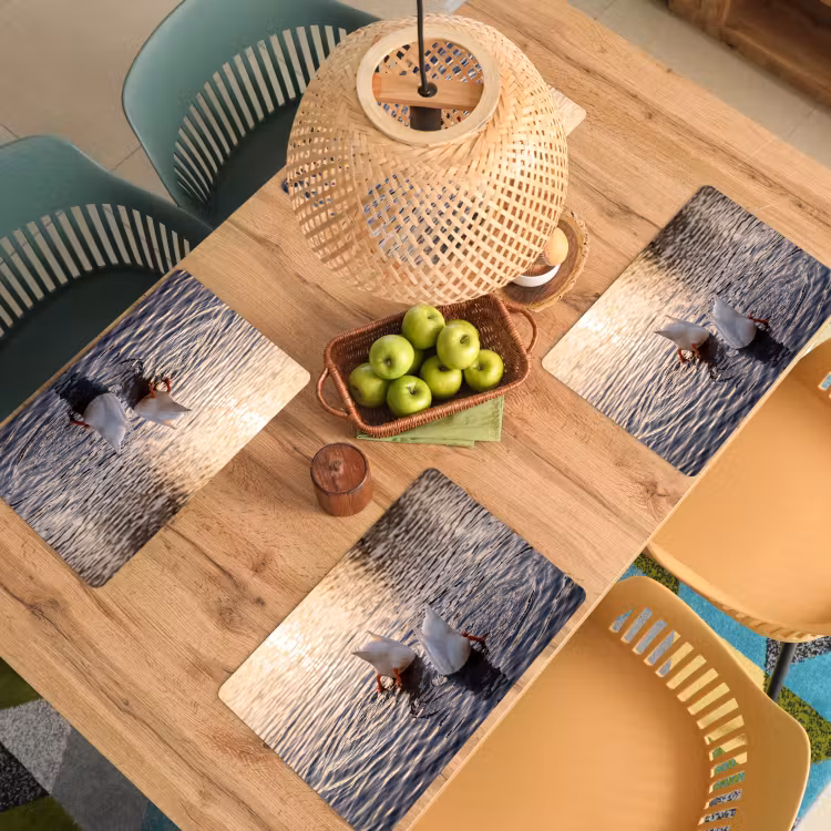 Eenden - Water - Natuur Placemat vinyl groot -zzsfeer5_Kitchenyeah-website