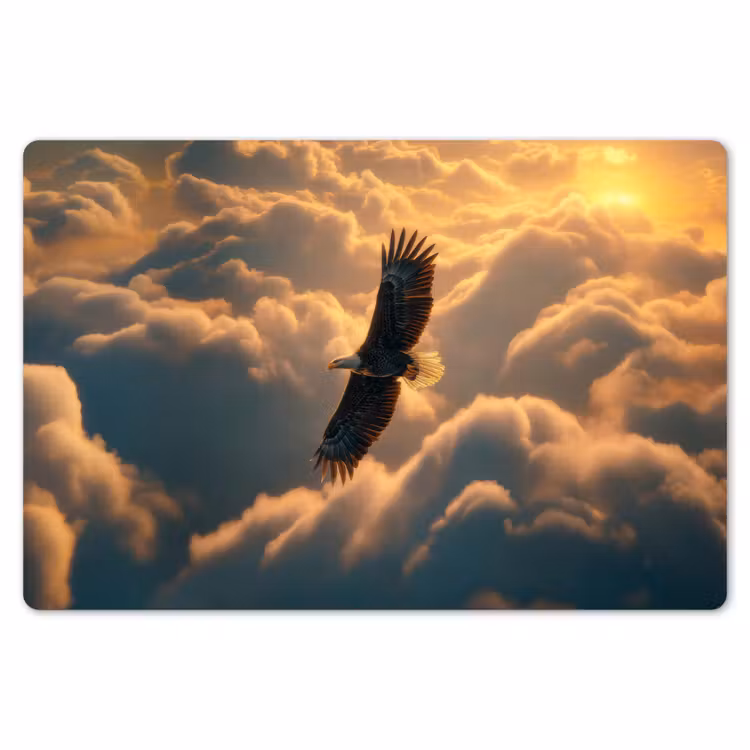 Adelaar - Wolken - Zon Placemat vinyl groot -zzsfeer1_Kitchenyeah-website