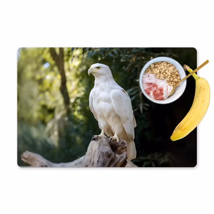 Arend - Hout - Wit - Planten Placemat vinyl groot -zzzproduct_Kitchenyeah-website
