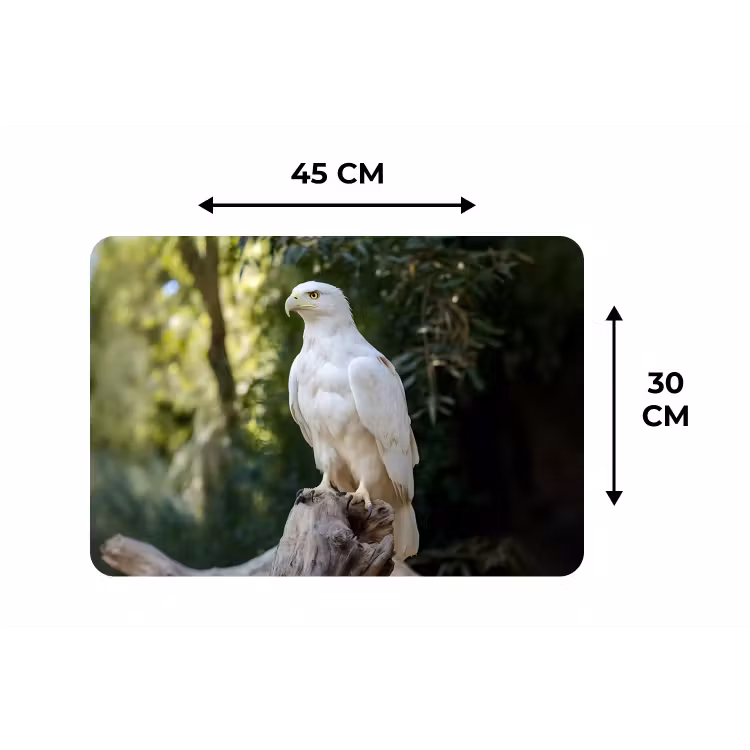 Arend - Hout - Wit - Planten Placemat vinyl groot -specs
