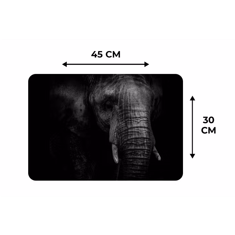 Olifant - Dier - Portret Placemat vinyl groot -specs