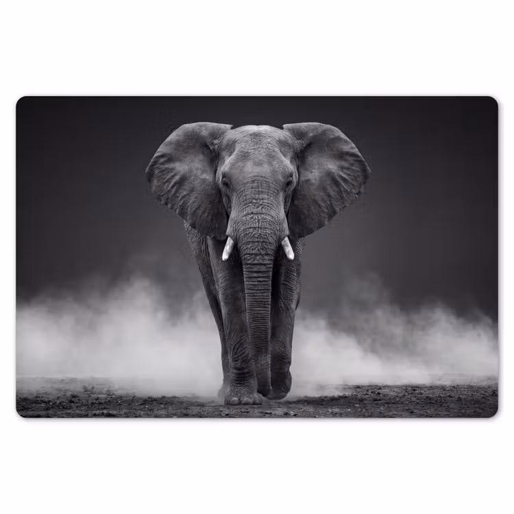 Olifant - Zwart - Wit - Rook Placemat vinyl groot -zzsfeer1_Kitchenyeah-website