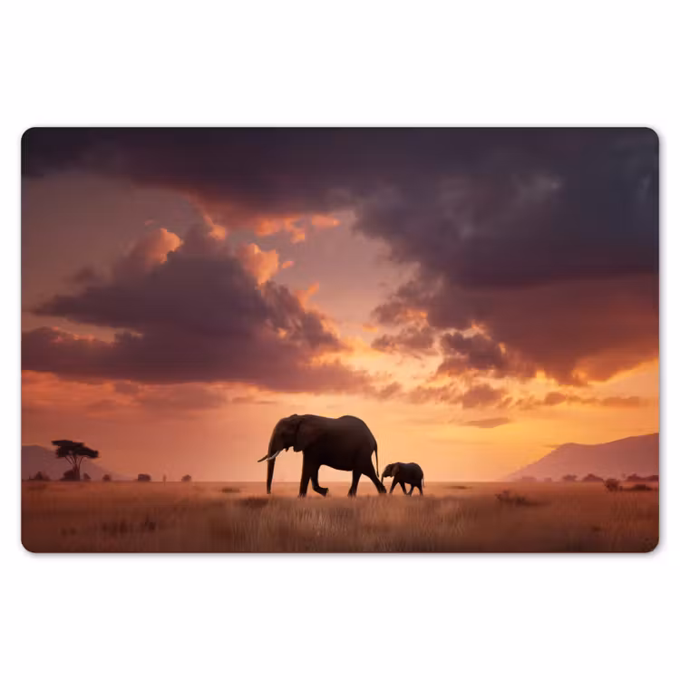 Olifanten - Grasland - Zonsondergang Placemat vinyl groot -zzsfeer1_Kitchenyeah-website