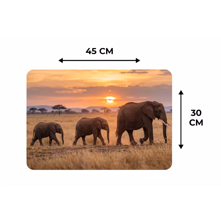 Olifanten - Savanne - Zonsondergang - Afrika - Warm Placemat vinyl groot -specs