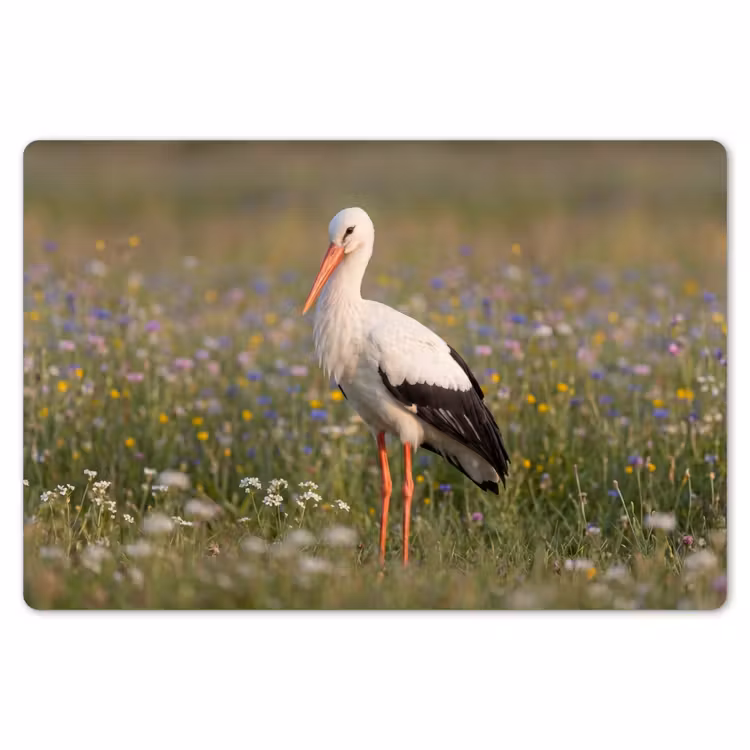 Ooienvaar - Bloemen - Weide - Kleurrijk Placemat vinyl groot -zzsfeer1_Kitchenyeah-website
