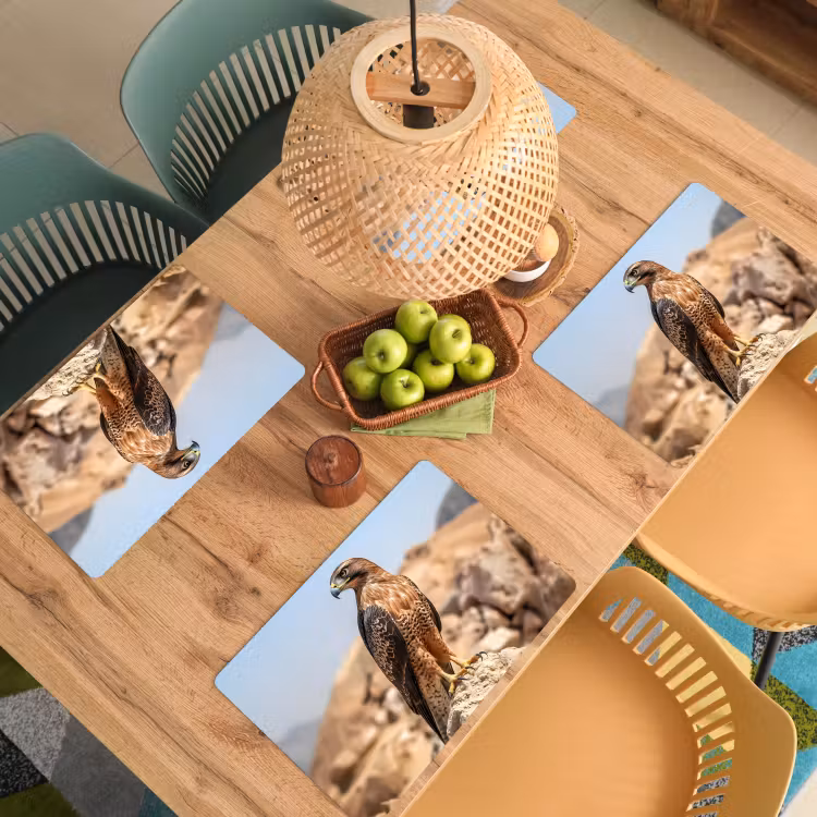 Valk - Vogel - Rots - Macht Placemat vinyl groot -zzsfeer5_Kitchenyeah-website