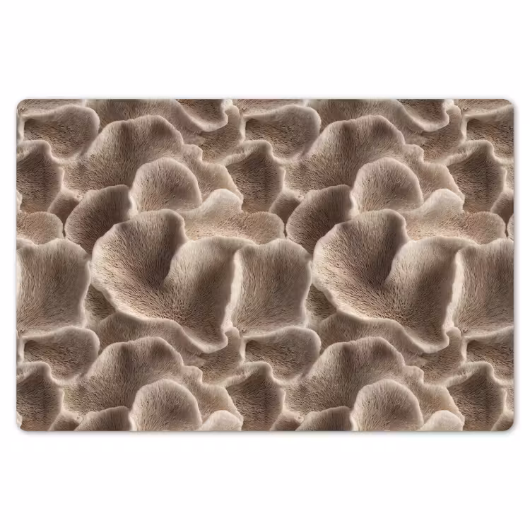 Waaiervorm - Beige - Vezel textuur Placemat vinyl groot 368 -zzsfeer1_Kitchenyeah-website